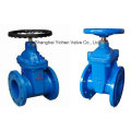 Z45X Type Soft Seal Non Rising Stem Gate Valve (Z45X)